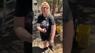Juggling knives