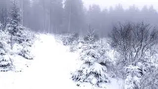 snowie Kahler Asten 04