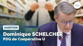 Grande distribution : Audition de Dominique Schelcher