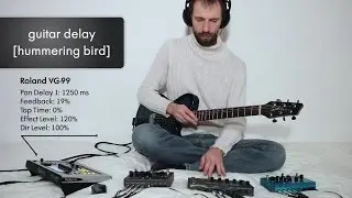 Guitar Delay: Hummering Bird (Boomerang Looper, Roland VG 99, Strymon TimeLine, BigSky, Ebow)