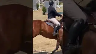 Upperville Horse Show 2023