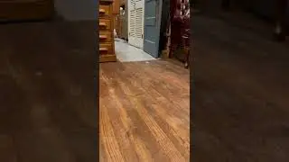 funny duck running || short video || #reels #shorts