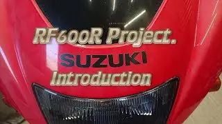 Suzuki RF600 lite project - what we have to work with
