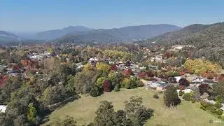 Bright in 4K (Fall Colours), Victoria
