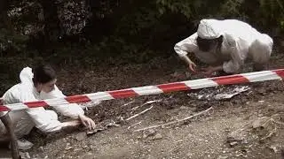 MEADOW  in nature - 2021 - performance