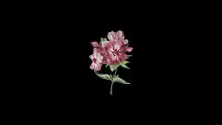 [FREE] Phora x NF Type Beat 2021 
