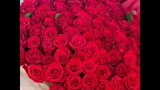 meco i ork 777  -  milion alih rose