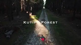 Kuitpo Forest, South Australia from above - sanujaa