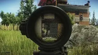 tarkov dick shot