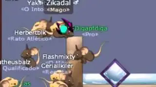 Zikadal com amigos