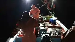 En busca de las Jibias, Quintay 2021.