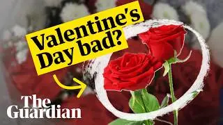 Why red roses on Valentine's Day are so bad for the planet