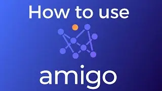 How to use Amigo Data || Product Demo