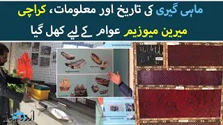 Karachi Marine Museum Showcases Fishing History and Techniques
