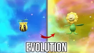 Sunkern | Sunflora | Evolution in Pokemon Scarlet & Violet | SV