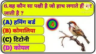 Gk Question ॥ Gk In Hindi ॥ Gk Question and Answer ॥ Gk Quiz ॥ MJ AG STUDY