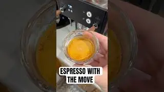 Bottomless Shot with the Profitec Move #profitec #profitecmove #espressomachine