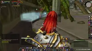 Classic WoW - Hunter DM East Solo 3-boss 13:45