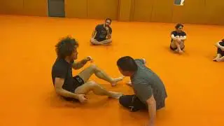 Leglocks: False Reap Entry from The Bottom of a Side Smash Pass