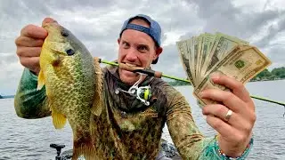 Fishing my FIRST EVER Bream Tournament in the Deep South!
