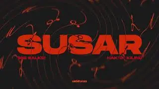 Ege Balkız & Hakan Kılın&ccedil; - Susar