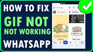 How to Fix GIF Not Working on WhatsApp Problem [2025] | Gifs Not Working in WhatsApp [FIXED]