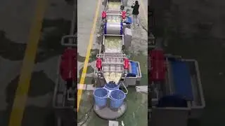 Vortex washing machine, salad cleaning machine #vegetablefarming