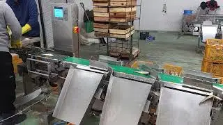 Fish grader