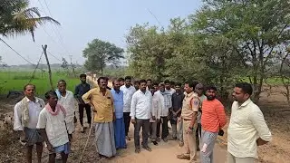 శ్రీనివాసపురంలో పెద్ద పులి అడుగుజాడలు...