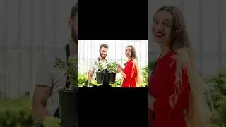 Flowers and gifts delivery service for any occasions
