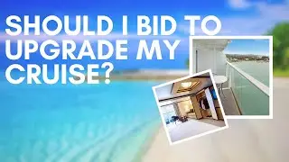 How cruise upgrade bidding works