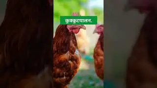 Best 10 Profitable Agriculture Business Ideas in 2023 | business ideas