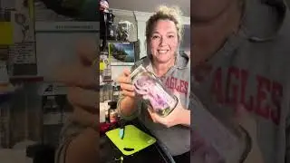 Pickled Spicy Red Onions 🧅