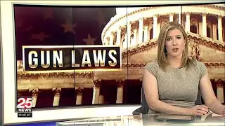 Gun industry group challenges new firearms marketing restrictions