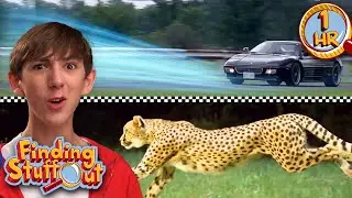 Best Moments Of Finding Stuff Out | Ultimate Science Highlights | Educational Discoveries for Kids