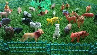 Mini Animal Kingdom Toys Unboxing | Miniature Animal Toys for Kids