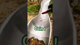 Нашел монету прям под горкой )  #коп #коп_монет