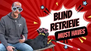 Is your dog ready for blind retrieves? | Duck Dog Training