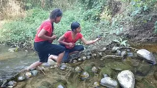 Survival skills: Snails hot salt chili cooking so tasty food, eating delicious in forest