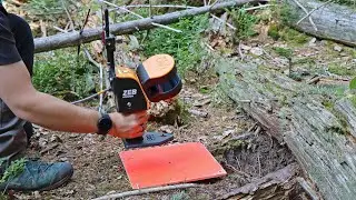 Waldinventur: So geht's per Hand und dank Fernerkundung