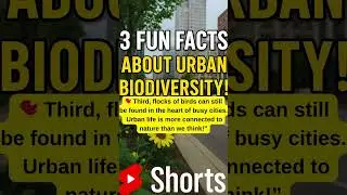 3 Fun Facts About Urban Biodiversity!#urbanbiodiversity  #natureinthecity  #funfacts  #thisfacts