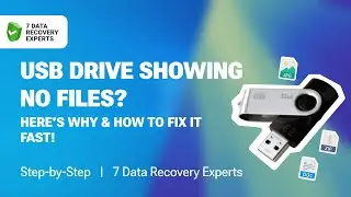USB Drive Showing No Files? Here&rsquo;s Why & How to Fix It Fast!