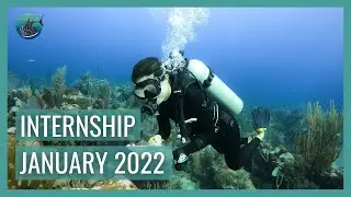 January 22' Marine Conservation Internship RECAP // the Whale Shark & Oceanic Research Center