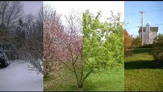 Seasons Timelapse: Winter, Spring, Summer, Fall