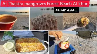 Al Thakira mangroves forest beach Al khor | Famous for kayaking | weekend vlog #القطر