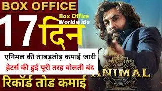 Animal Box Office Collection Day 17 Animal 17th Day Collection Animal Box Office Collections