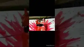 El Monstruo de colores de Anna Llenas