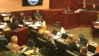 Mother of James Holmes Testifies in Court