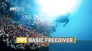 Basic Freediver Course - Performance Freediving International - PFI