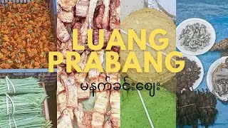 Luang Prabang မနက်ခင်းဈေးမှာဘာတွေရှိလဲ| Road to Laos (Ep - 4)